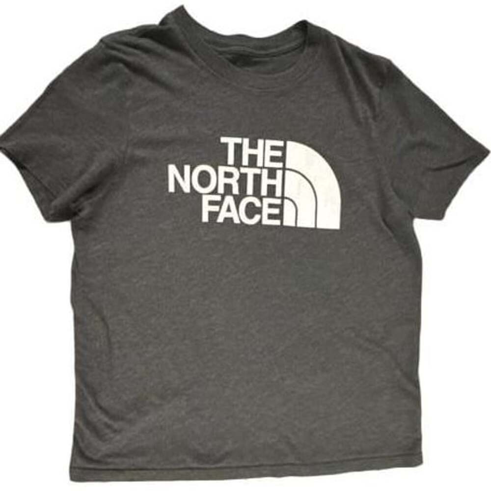 The North Face Half Dome Graphic T-Shirt Gray Medium